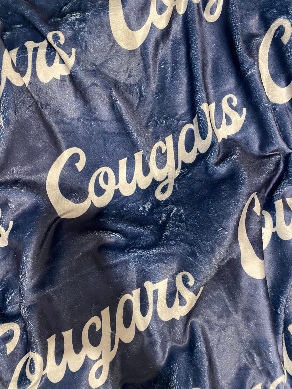 mascot blanket-cougars