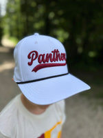Panthers embroidered hat